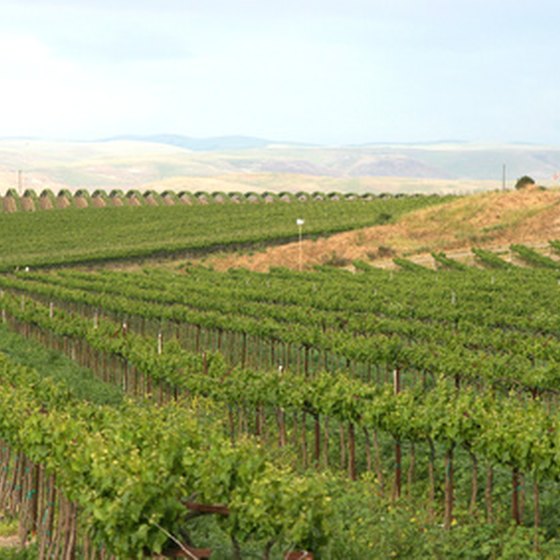 Recreation lakes can be found in California's wine country.