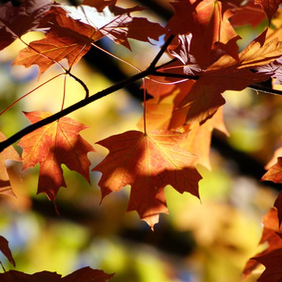 A weekend getaway in the Berkshires offers plenty of leaf-peeping opportunities in the fall.