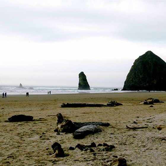 Captain William Clark, Sacagawea and several members of the Corps of Discovery visited the carcass of a whale near modern-day Cannon Beach on the Oregon coast.