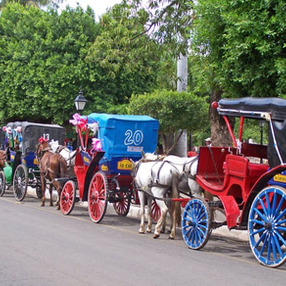 Horse-drawn carriages are a popular mode of transportation in Granada, Nicaragua.