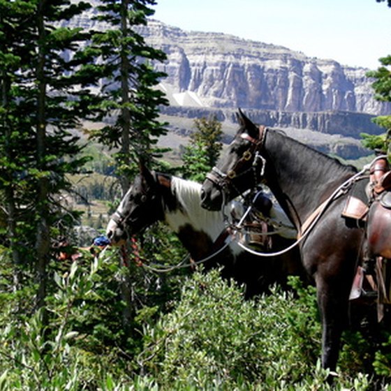 Give the children a chance to be cowboys on a family vacation in Wyoming.