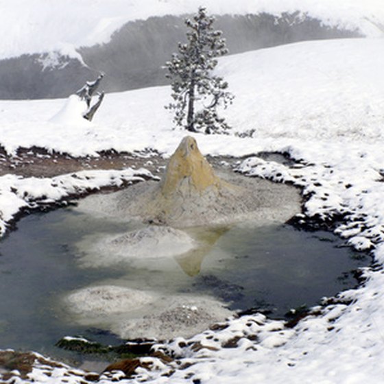Yellowstone's famous fountain pots, also called mud volcanoes, continue to steam during the coldest winter months.