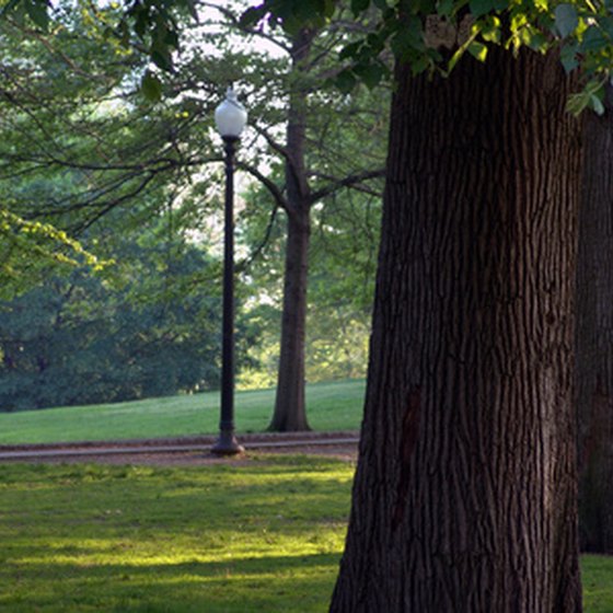 Visit Some of Boston's Beautiful Parks