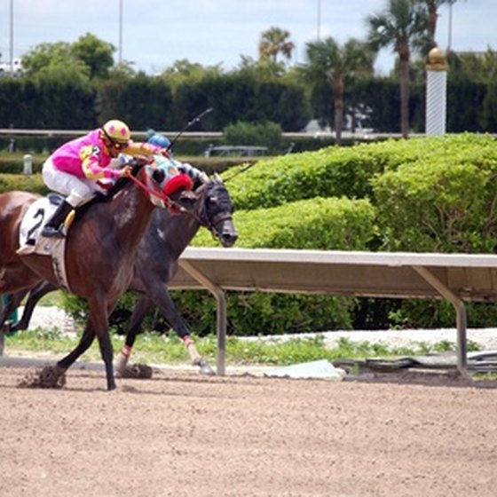 Lone Star Park has live Thoroughbred horse racing from April to July.