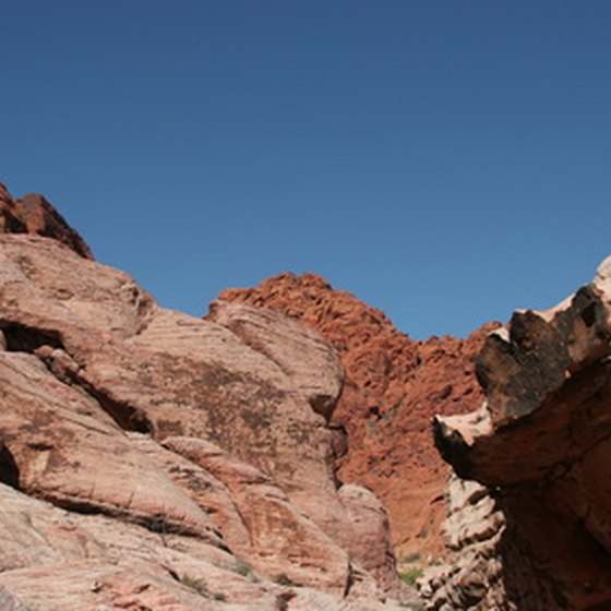 Vegas offers more than casinos; visit the Red Rock Canyon for some variety.