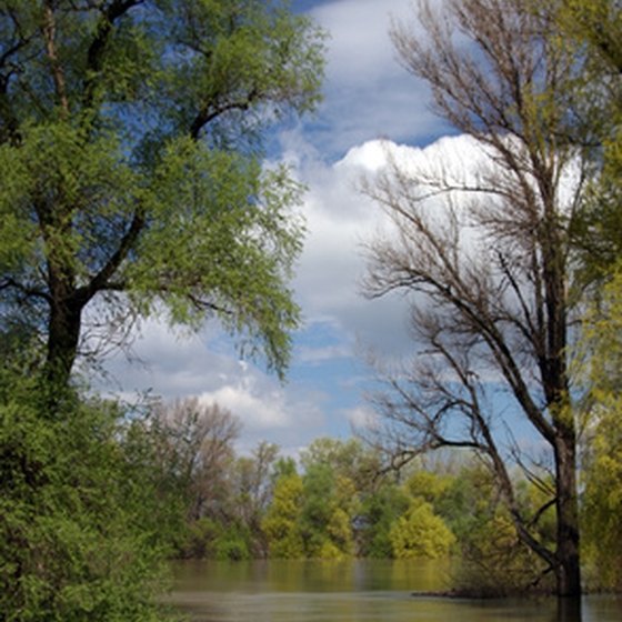 North Texas is home to a number of rivers.