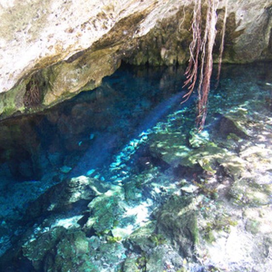 Open cenotes are just one setting for a Mayan Riveira snorkeling trip.