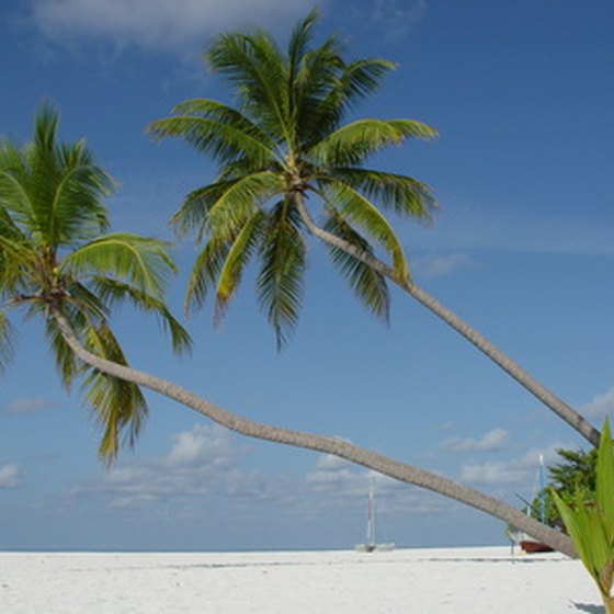 Visit Jamaica's beaches.