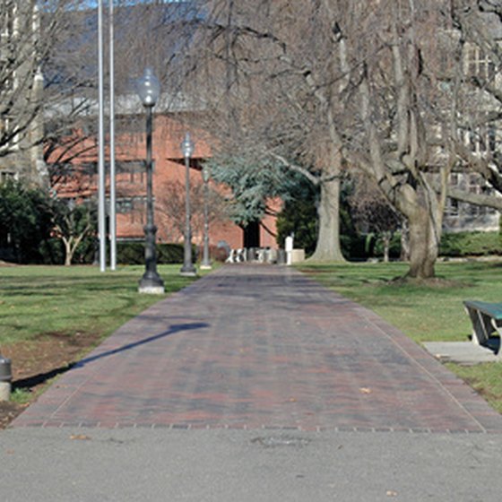 Greenwich Village's Washington Square Park abuts New York University.