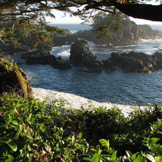 At Pacific Rim National Park Reserve you can capture sandy beaches, lush forests and rocky crags in one shot.