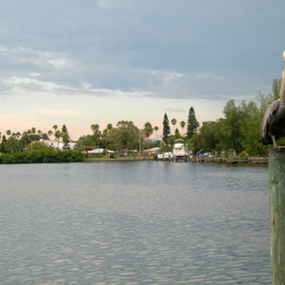 Enjoy picturesque views of the water from a Tampa Bay golf resort.