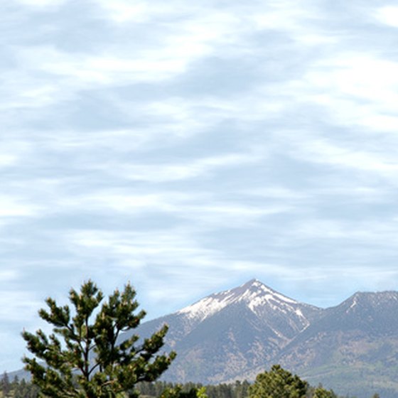 Arizona's landscape includes forests and snowcapped mountains.