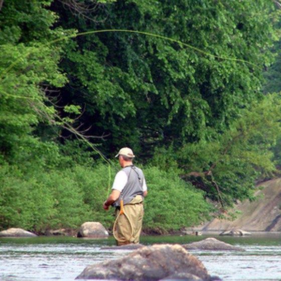 Canadian rivers and lakes offer superb fishing opportunities for salmon and other species.