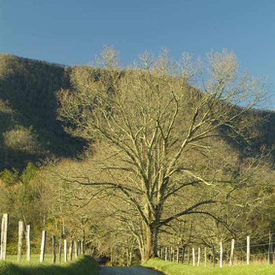 Great Smoky Mountains/Cades Cove