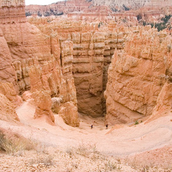 Explore the beautiful canyons of Utah.