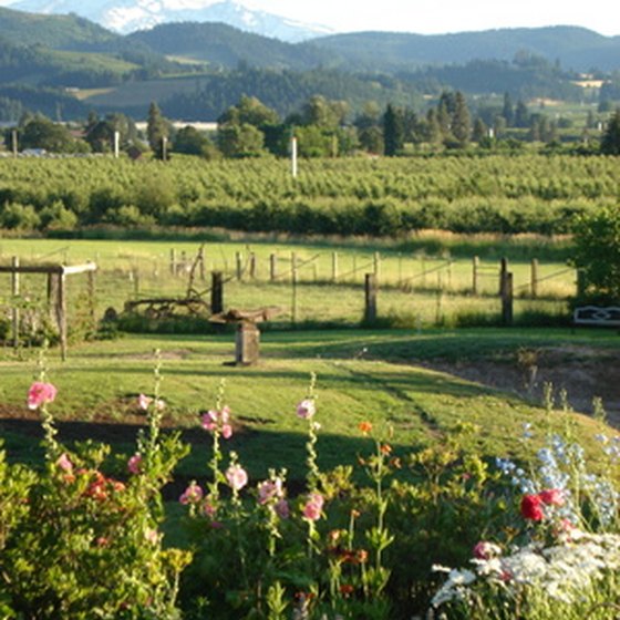The countryside around Mount Hood offers a wide array of outdoor activities.
