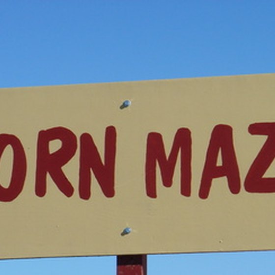 The Tews Corn Maze is a popular attraction near Winona, Minnesota.