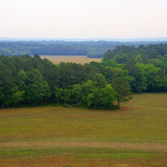 Middle Tennessee is marked by rolling hills and forested areas.