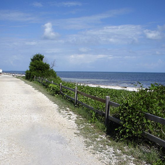Beachside footpath in the Florida Keys