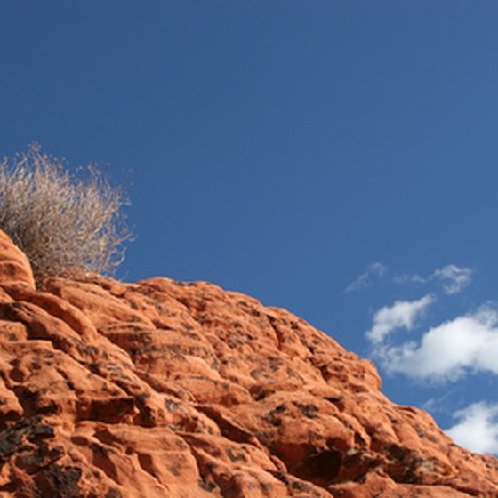 Experience nature near Las Vegas at Red Rock Canyon.