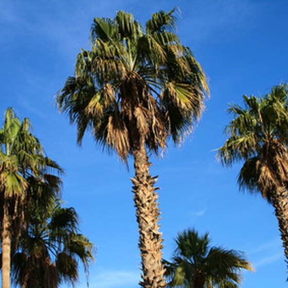 An Anaheim vacation promises plenty of sun.