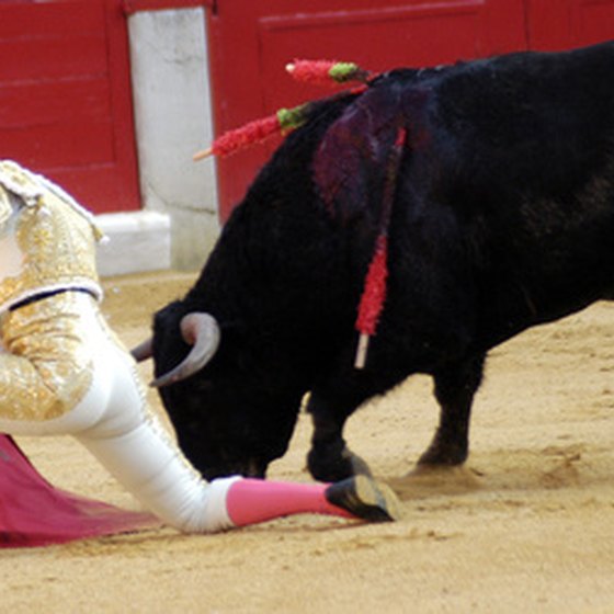 Matador leading a bull