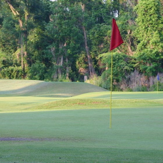 Charleston features two public golf courses.