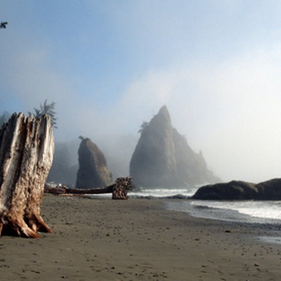 The scenery of the Oregon and Northern California coasts tends toward the mysterious and grand.