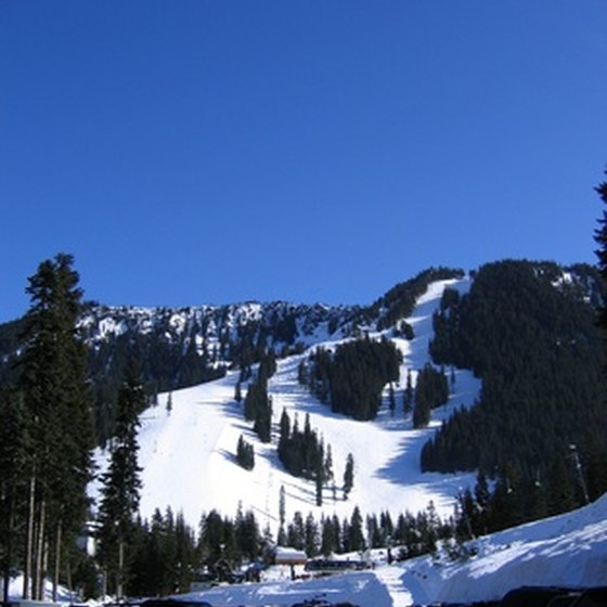 The ski slopes include multiple cross-country trails.