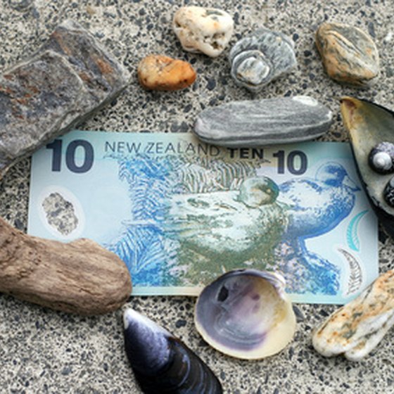 Keepsake shells and currency from New Zealand.