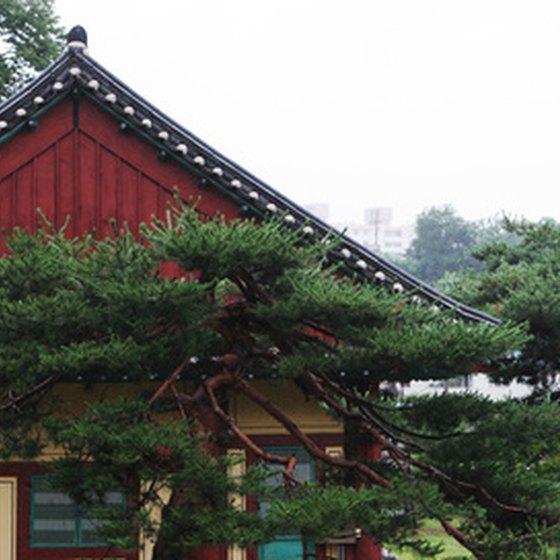Explore the pagodas and temples of South Korea.