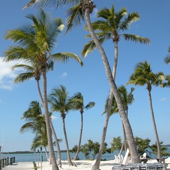 Many hotels line Florida's coastline