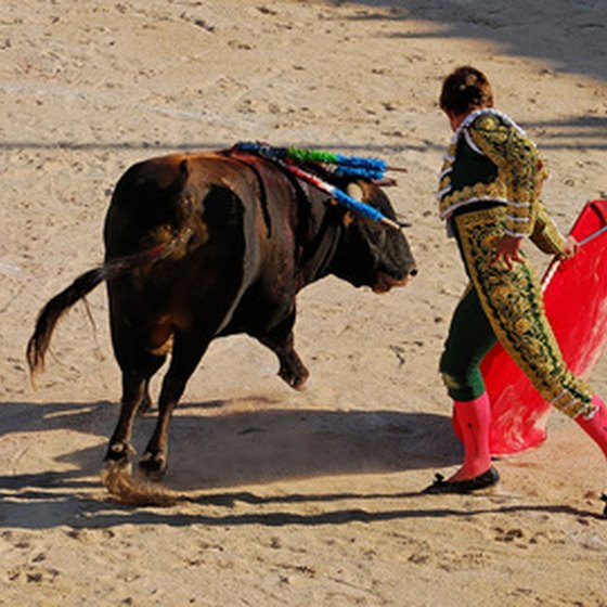 Bullfight in northern Spain