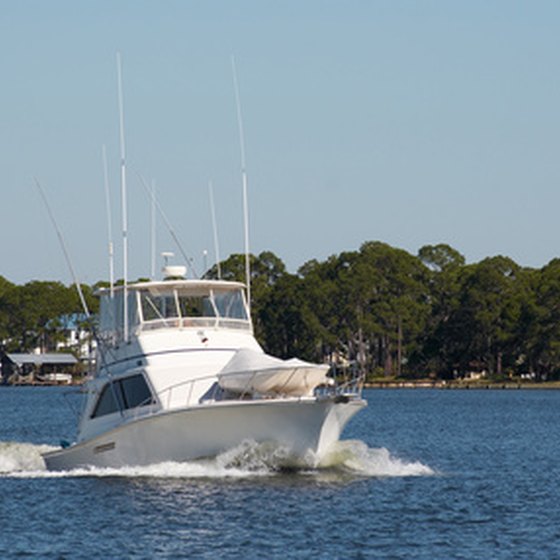 Fish with a charter boat to explore the waters of Crystal River.