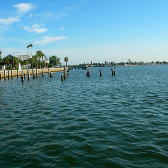 Explore the waters of Tampa on a cruise.