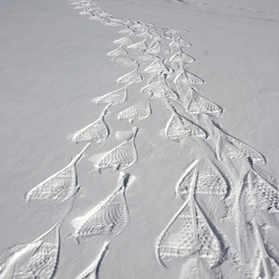 Tracks from snowshoers mark a trail.