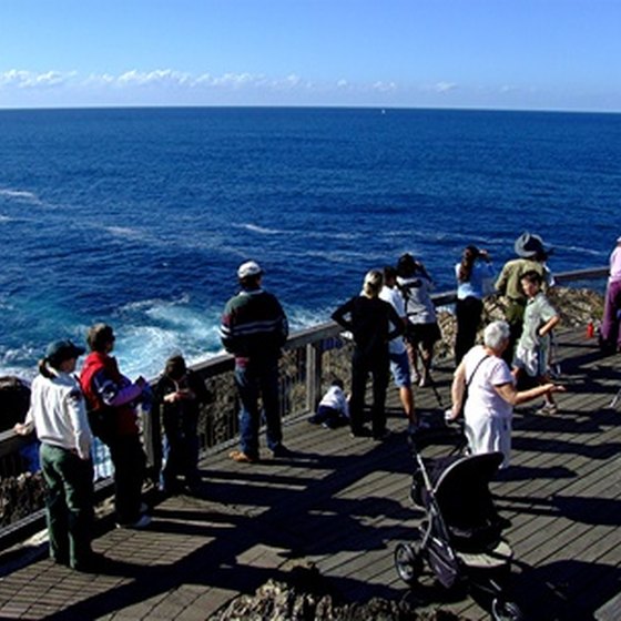 Whale-watching tours are popular among visitors to Boothbay Harbor, Maine.