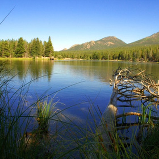 It's likely lakes and streams in Rocky Mountain National Park were originally absent of fish.