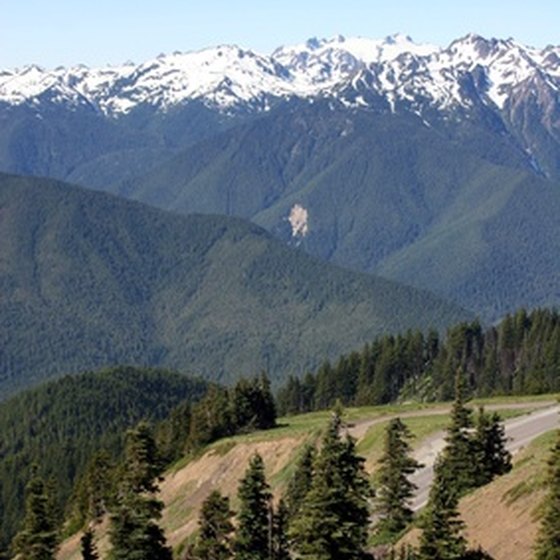 Motor home parks in Washington offer scenic views of nearby mountain ranges.