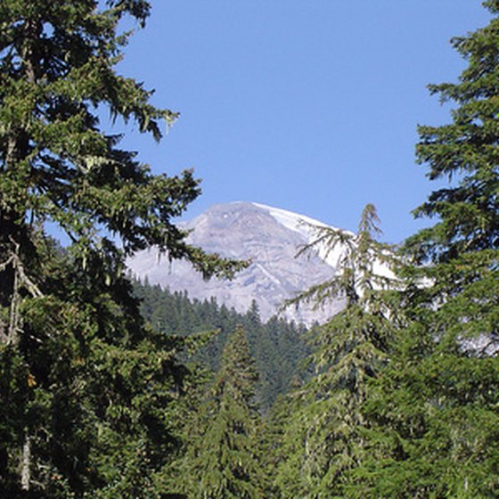 Breathtaking vistas await those who book accommodations at Mount Rainier National Park.