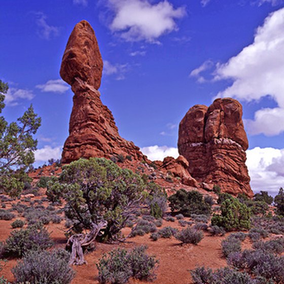 National parks offer a mix of solitude and activity perfect for visitors of any age.
