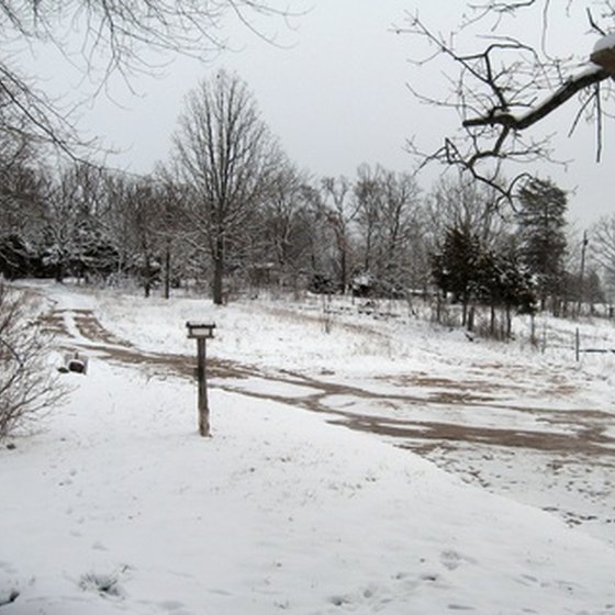 Enjoy the beauty of winter in Illinois.