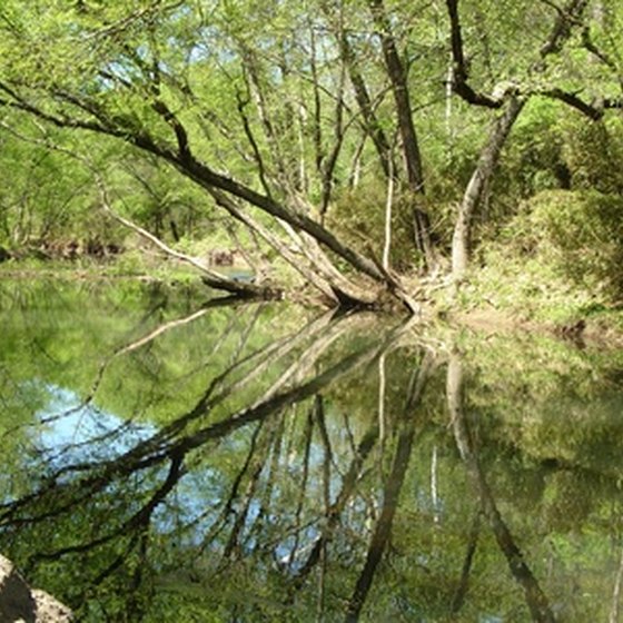 Southeastern Arkansas has many remote and natural areas for fishing or enjoying nature.