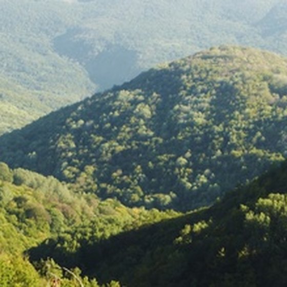 Vermont's Green Mountain National Forest