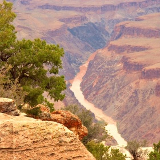 A look into the Grand Canyon.