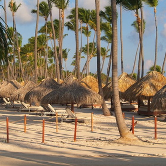 Typical Punta Cana resort beach features palapas for shade.
