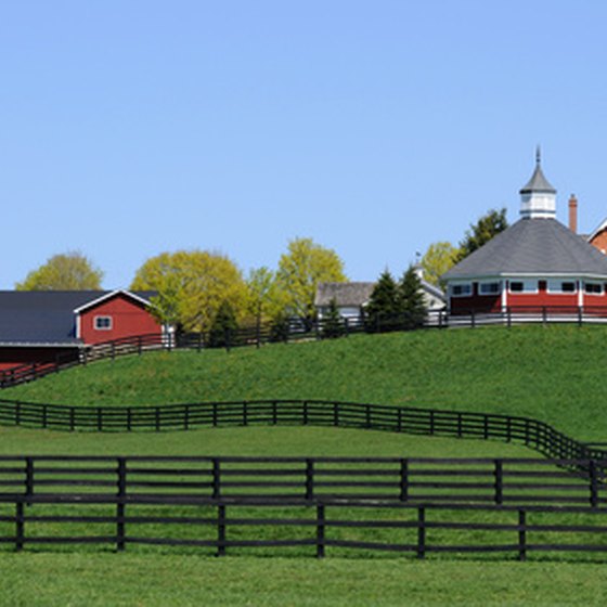 Central Kentucky is famous for its immaculate farms.