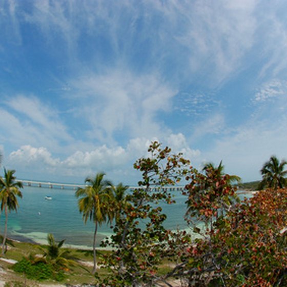 The Florida Keys offer many options for eco-friendly vacations.