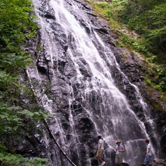 Hike to the waterfalls in Silver Falls State Park.