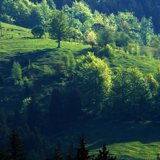 Green country hillside